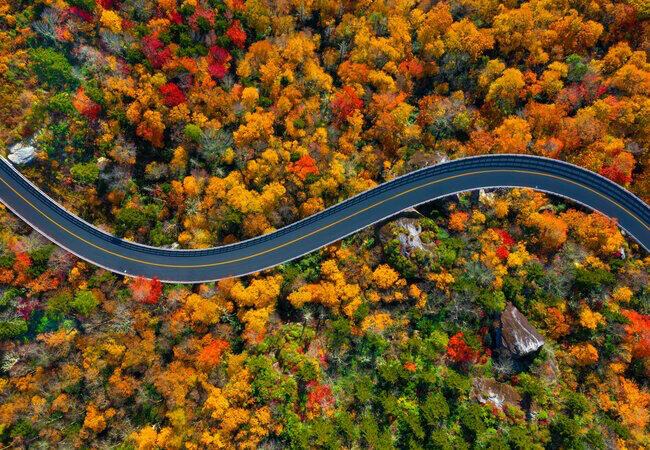Drive the Blue Ridge Parkway
