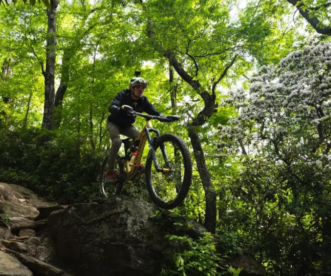 Mountain Biking in Pisgah National Forest