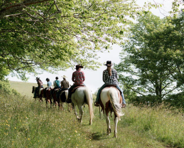 Experiences and enjoy a meal at Cataloochee Ranch